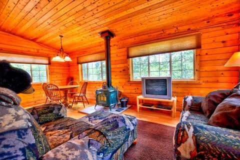 983 Wampum Ln, Como, CO 80432 photo 9