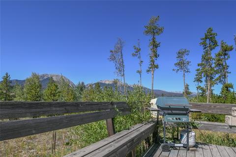 59 N Rd, Silverthorne, CO 80498 photo 32