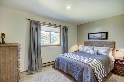 1583 S Chipmunk Ln, Silverthorne, CO 80498 photo 21