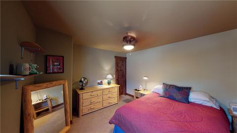 325 Rainbow Ct, Silverthorne, CO 80498 photo 28