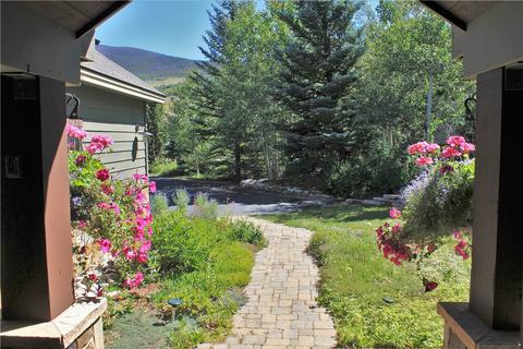 325 Rainbow Ct, Silverthorne, CO 80498 photo 2
