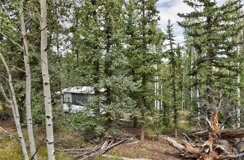 167 Smith And Wesson Rd, Como, CO 80432 photo 32