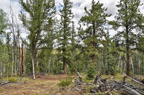 167 Smith And Wesson Rd, Como, CO 80432 photo 30