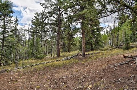 167 Smith And Wesson Rd, Como, CO 80432 photo 14