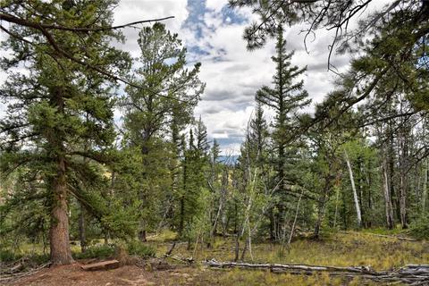 167 Smith And Wesson Rd, Como, CO 80432 photo 1