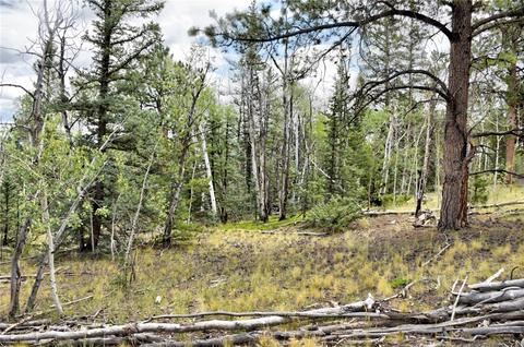 167 Smith And Wesson Rd, Como, CO 80432 photo 21