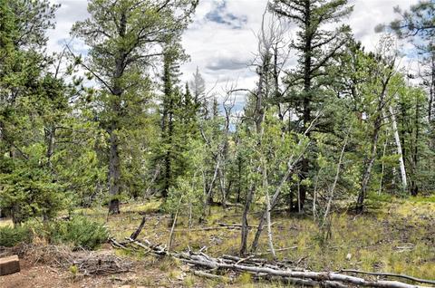167 Smith And Wesson Rd, Como, CO 80432 photo 19