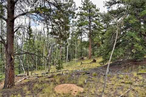 167 Smith And Wesson Rd, Como, CO 80432 photo 18