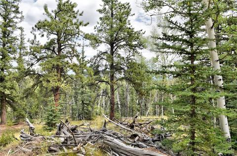 167 Smith And Wesson Rd, Como, CO 80432 photo 29