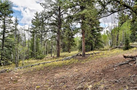 167 Smith And Wesson Rd, Como, CO 80432 photo 15