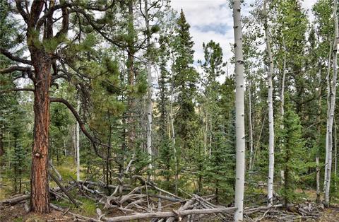 167 Smith And Wesson Rd, Como, CO 80432 photo 9