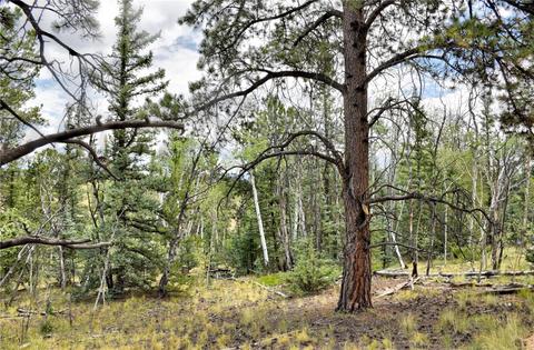 167 Smith And Wesson Rd, Como, CO 80432 photo 17