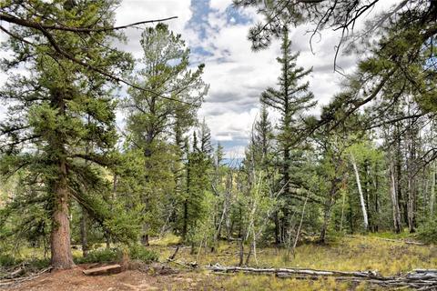 167 Smith And Wesson Rd, Como, CO 80432 photo 2