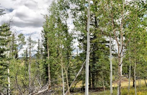 167 Smith And Wesson Rd, Como, CO 80432 photo 35