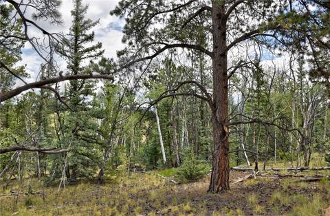 167 Smith And Wesson Rd, Como, CO 80432 photo 16