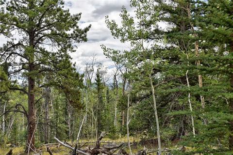 167 Smith And Wesson Rd, Como, CO 80432 photo 31