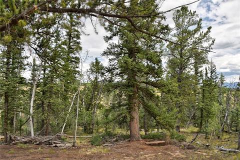 167 Smith And Wesson Rd, Como, CO 80432 photo 3