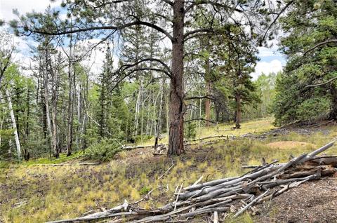 167 Smith And Wesson Rd, Como, CO 80432 photo 23