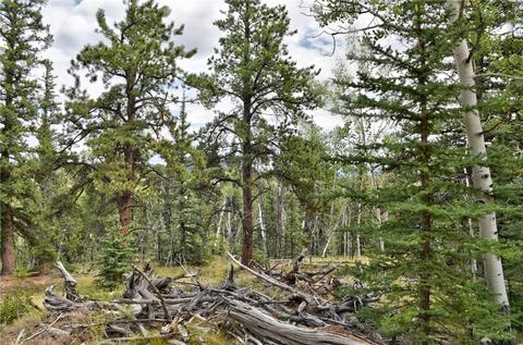 167 Smith And Wesson Rd, Como, CO 80432 photo 28