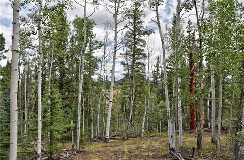 167 Smith And Wesson Rd, Como, CO 80432 photo 7