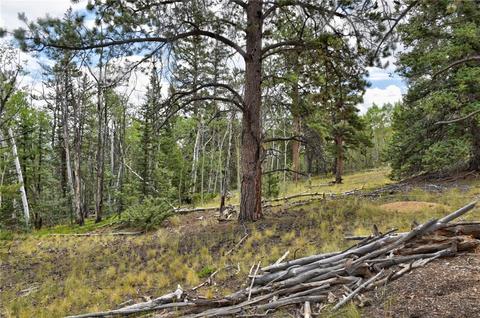 167 Smith And Wesson Rd, Como, CO 80432 photo 22