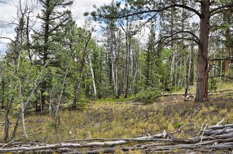 167 Smith And Wesson Rd, Como, CO 80432 photo 20