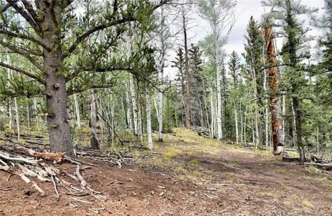 167 Smith And Wesson Rd, Como, CO 80432 photo 25