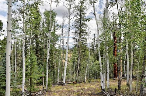 167 Smith And Wesson Rd, Como, CO 80432 photo 8