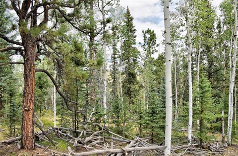 167 Smith And Wesson Rd, Como, CO 80432 photo 10