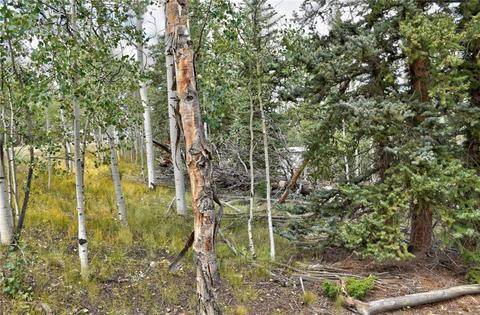 167 Smith And Wesson Rd, Como, CO 80432 photo 26