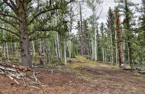 167 Smith And Wesson Rd, Como, CO 80432 photo 24
