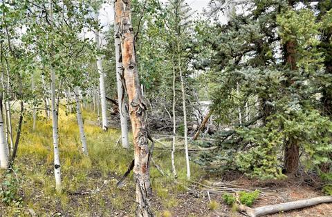167 Smith And Wesson Rd, Como, CO 80432 photo 27