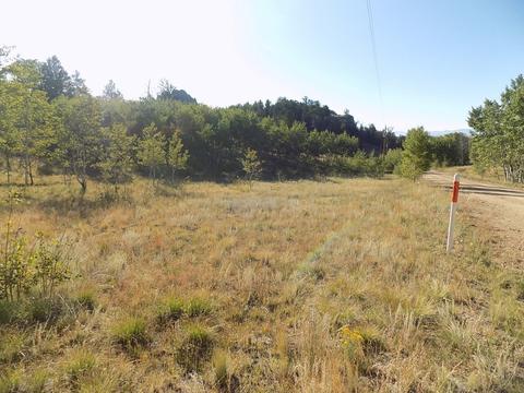 1203 Kiowa St, Como, CO 80432 photo 5