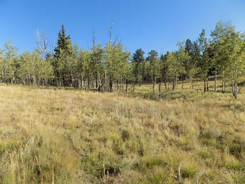 1203 Kiowa St, Como, CO 80432 photo 7