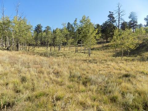 1203 Kiowa St, Como, CO 80432 photo 6