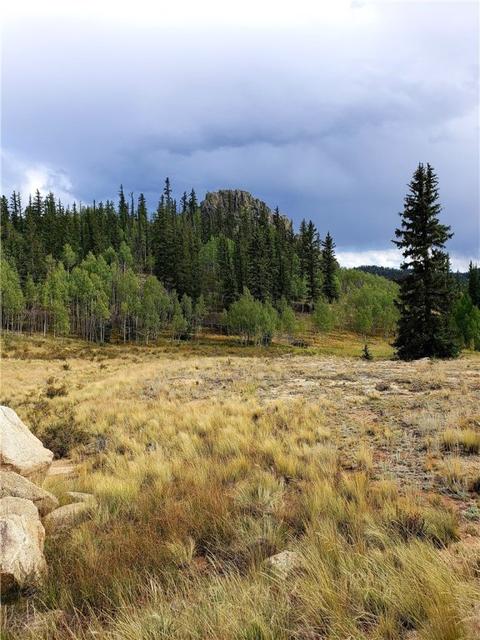 423 Highfill Rd, Jefferson, CO 80456 photo 5