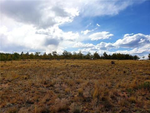 423 Highfill Rd, Jefferson, CO 80456 photo 9