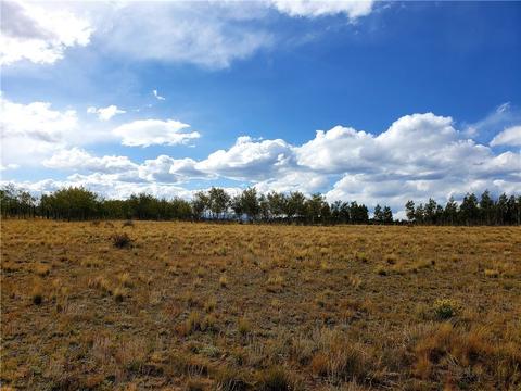 423 Highfill Rd, Jefferson, CO 80456 photo 8