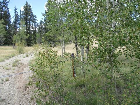 123 Ute Way, Como, CO 80432 photo 6