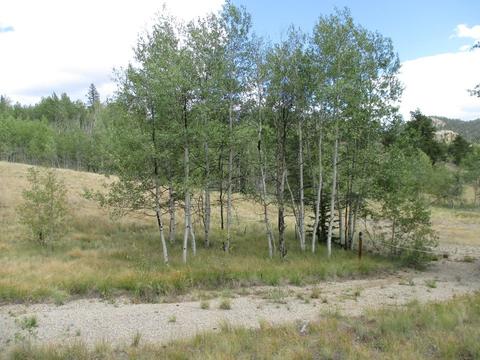 123 Ute Way, Como, CO 80432 photo 4