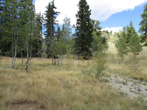 123 Ute Way, Como, CO 80432 photo 1