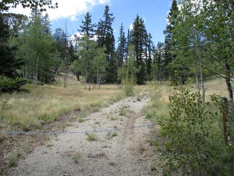 123 Ute Way, Como, CO 80432 photo 7