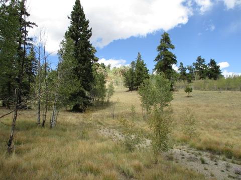123 Ute Way, Como, CO 80432 photo 3