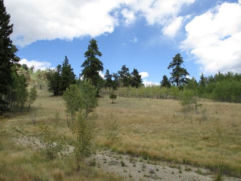 123 Ute Way, Como, CO 80432 photo 2
