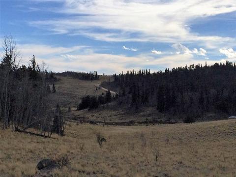 72 Warrior Ct, Como, CO 80432 photo 3