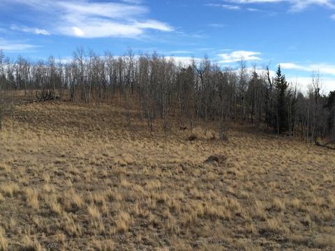 72 Warrior Ct, Como, CO 80432 photo 1