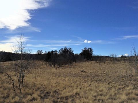 72 Warrior Ct, Como, CO 80432 photo 9