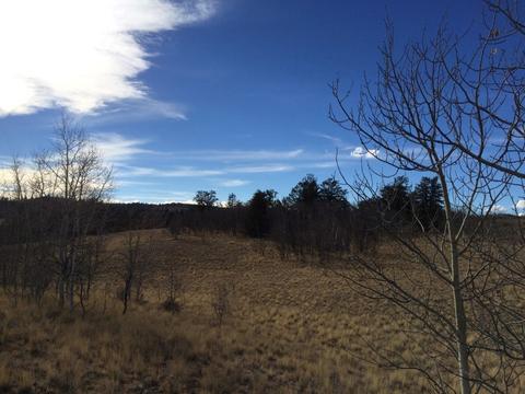 72 Warrior Ct, Como, CO 80432 photo 10
