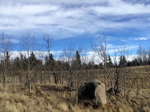 72 Warrior Ct, Como, CO 80432 photo 2