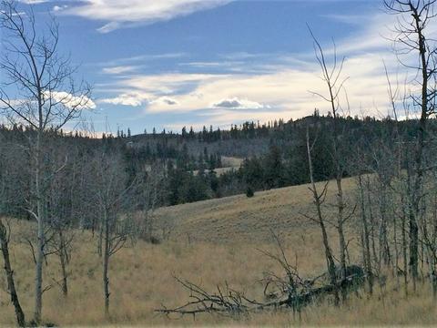 72 Warrior Ct, Como, CO 80432 photo 6
